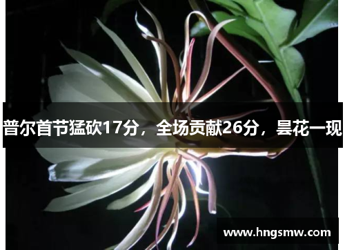普尔首节猛砍17分，全场贡献26分，昙花一现